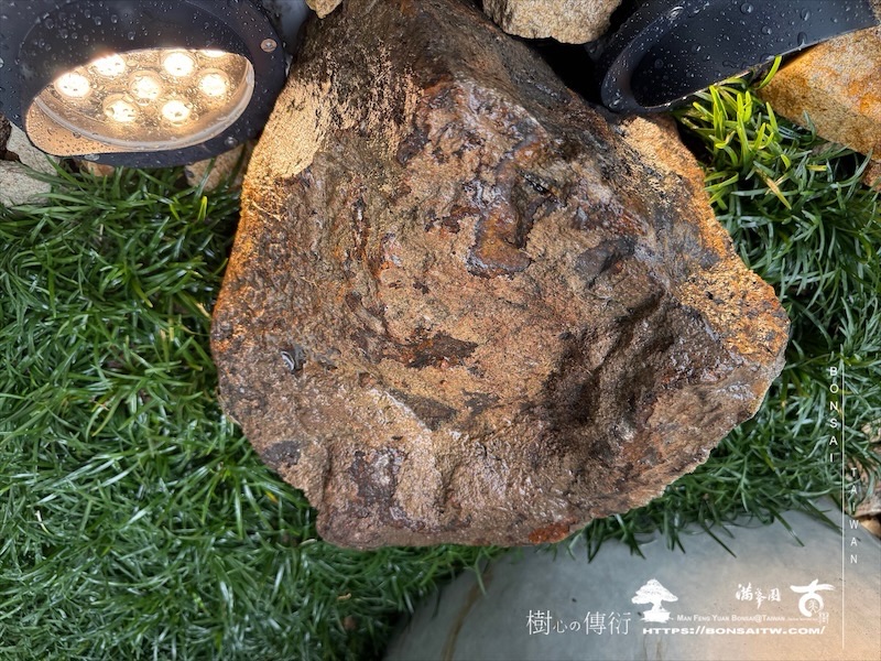 img 8914 1 [我們的作品]景觀設計施工-案0411 露台造景