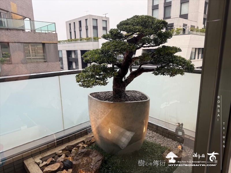 img 8915 1 [我們的作品]景觀設計施工-案0411 露台造景