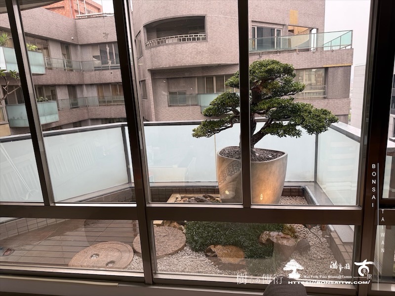 img 8916 1 [我們的作品]景觀設計施工-案0411 露台造景