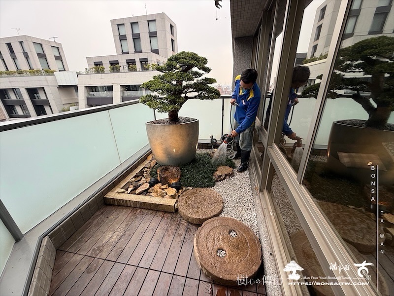 img 8921 1 [我們的作品]景觀設計施工-案0411 露台造景