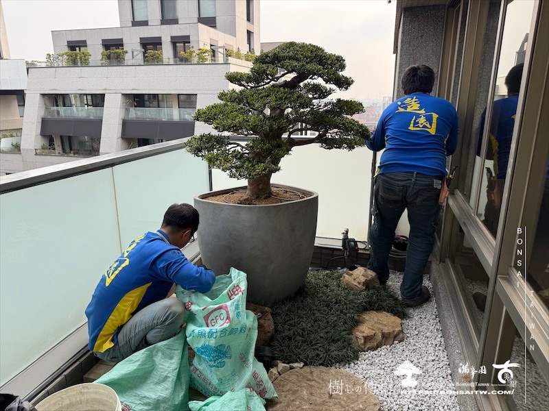 img 8923 1 [我們的作品]景觀設計施工-案0411 露台造景