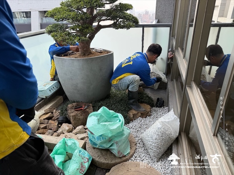 img 8924 1 [我們的作品]景觀設計施工-案0411 露台造景