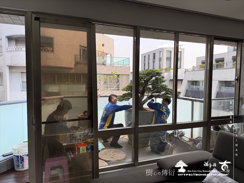 img 8927 1 [我們的作品]景觀設計施工-案0411 露台造景