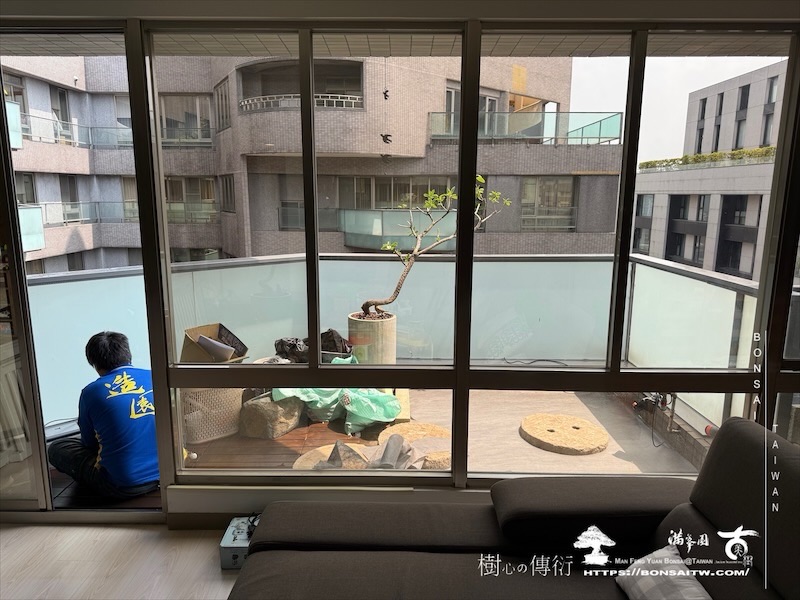 img 8930 1 [我們的作品]景觀設計施工-案0411 露台造景