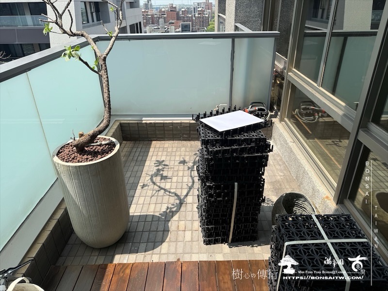 img 8936 1 [我們的作品]景觀設計施工-案0411 露台造景