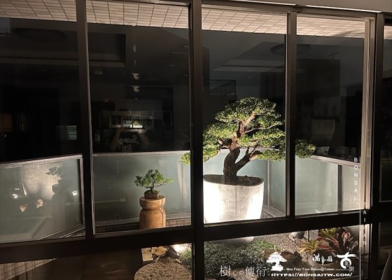 img 9169 1 [我們的作品]景觀設計施工-案0411 客戶案例