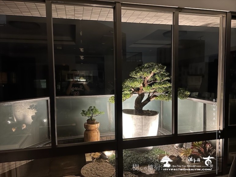 img 9169 1 [我們的作品]景觀設計施工-案0411 露台造景