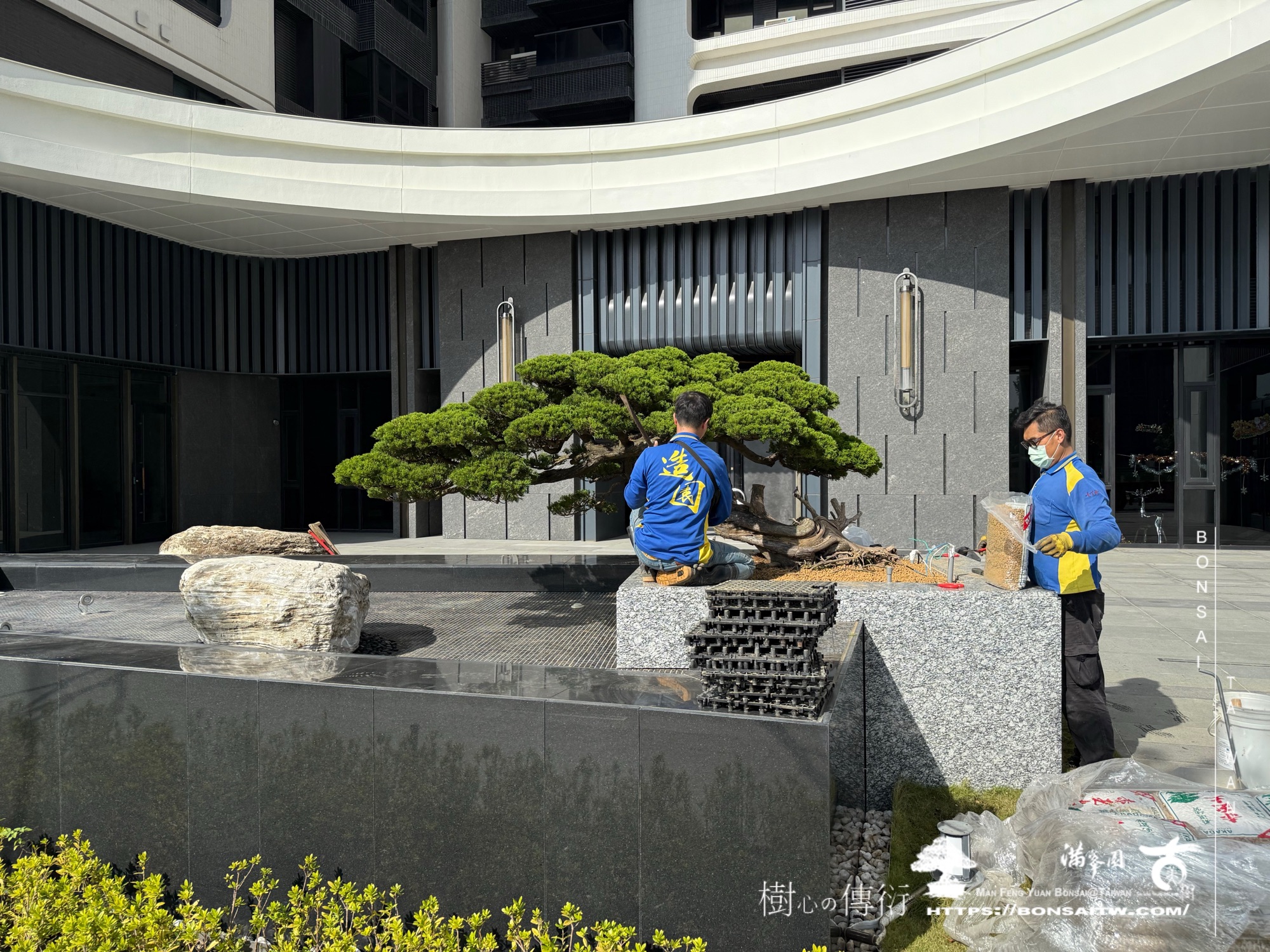 img 9361 1 [ 客戶服務]景觀施工-案1210 大型庭園樹專區(Garden Tree)