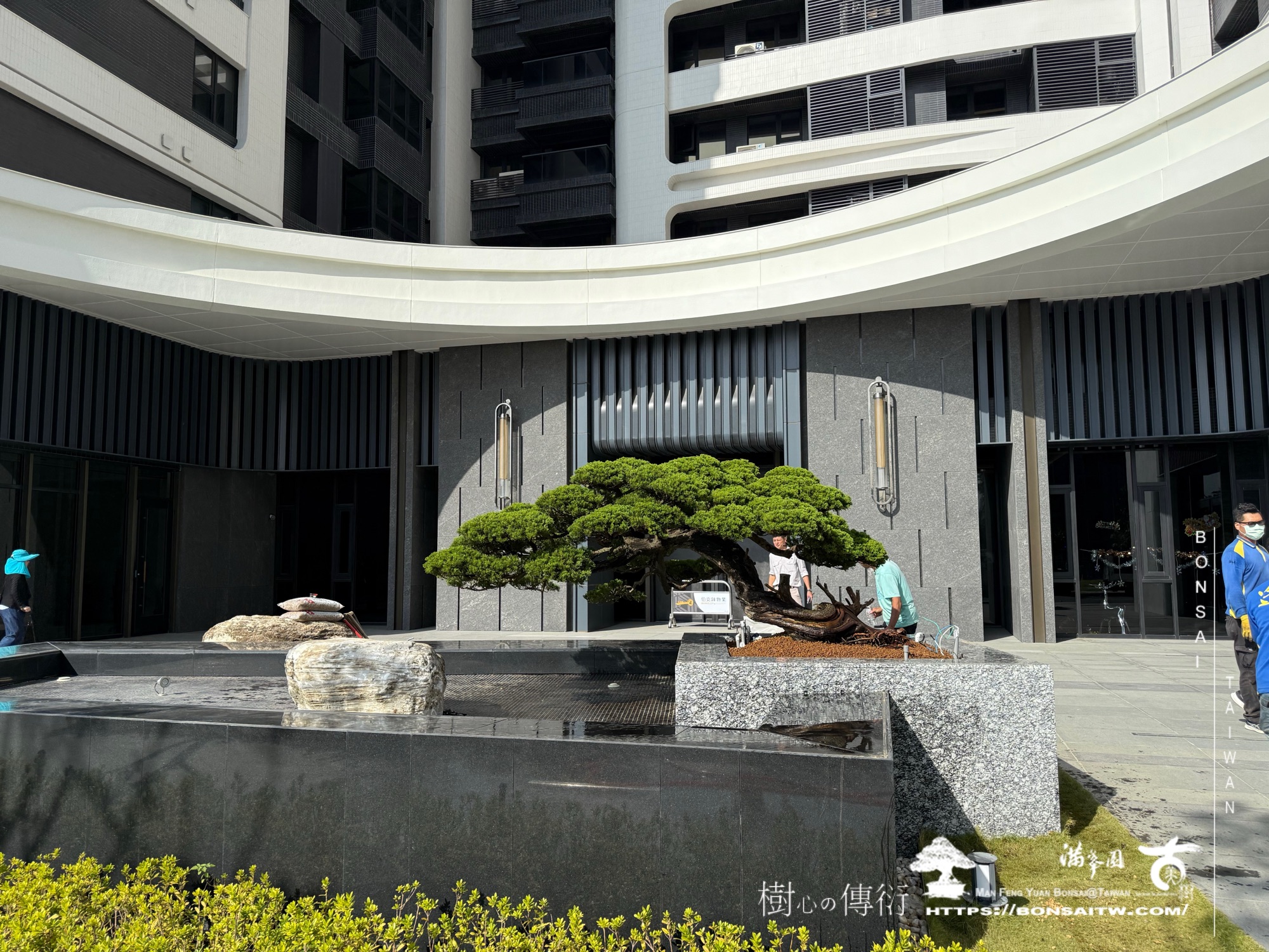 img 9362 1 [ 客戶服務]景觀施工-案1210 大型庭園樹專區(Garden Tree)