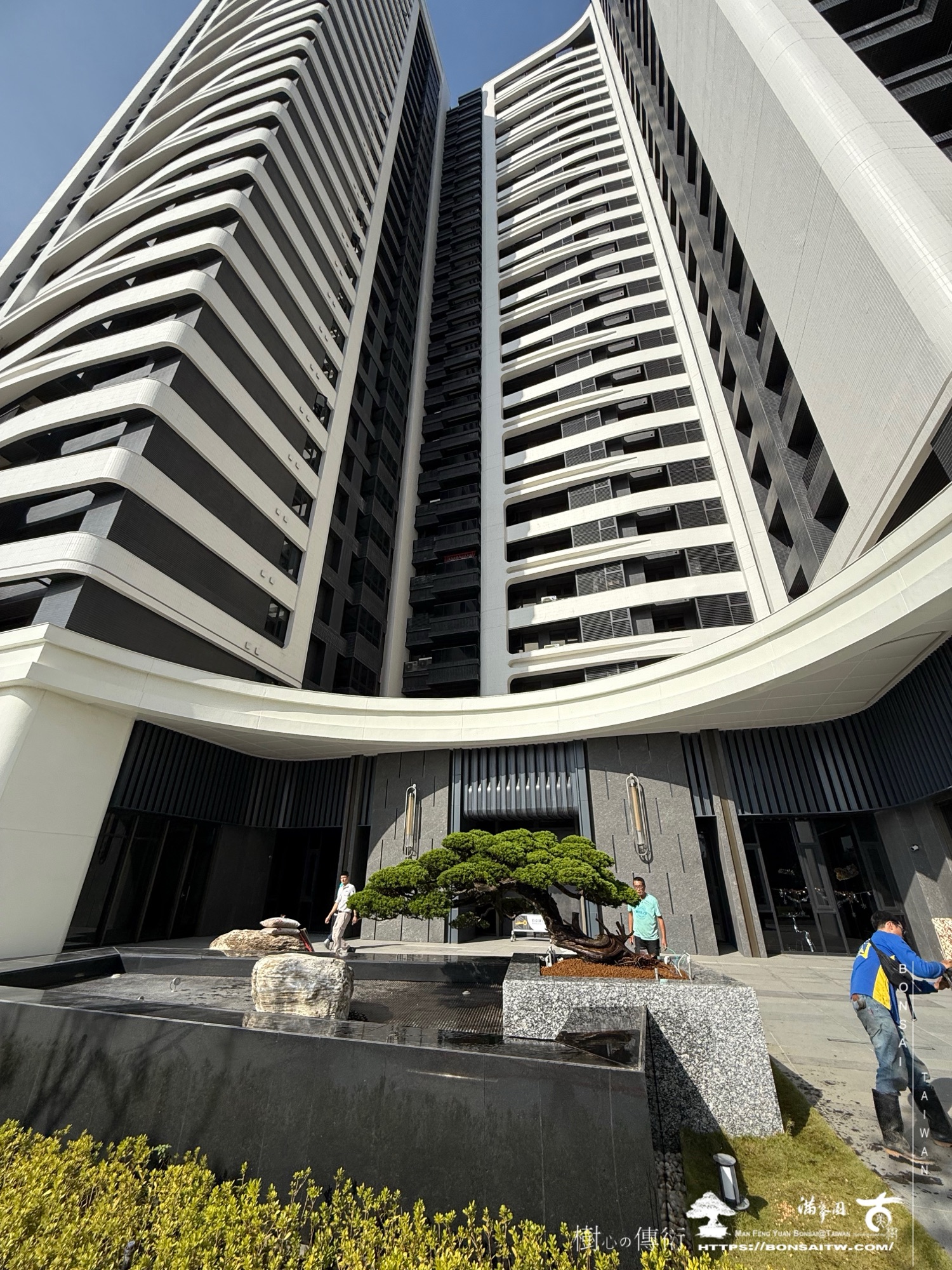 img 9363 1 [ 客戶服務]景觀施工-案1210 大型庭園樹專區(Garden Tree)