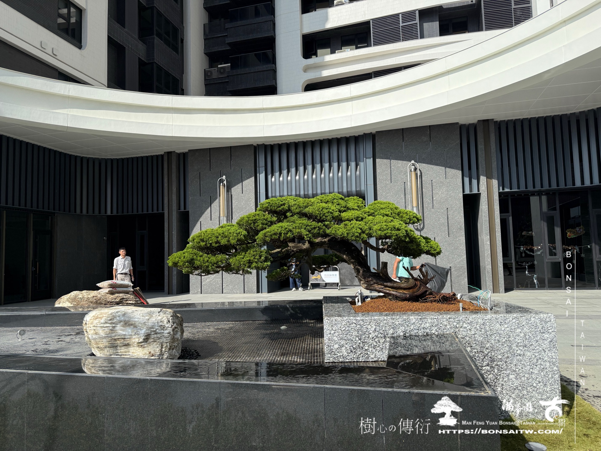 img 9364 1 [ 客戶服務]景觀施工-案1210 大型庭園樹專區(Garden Tree)