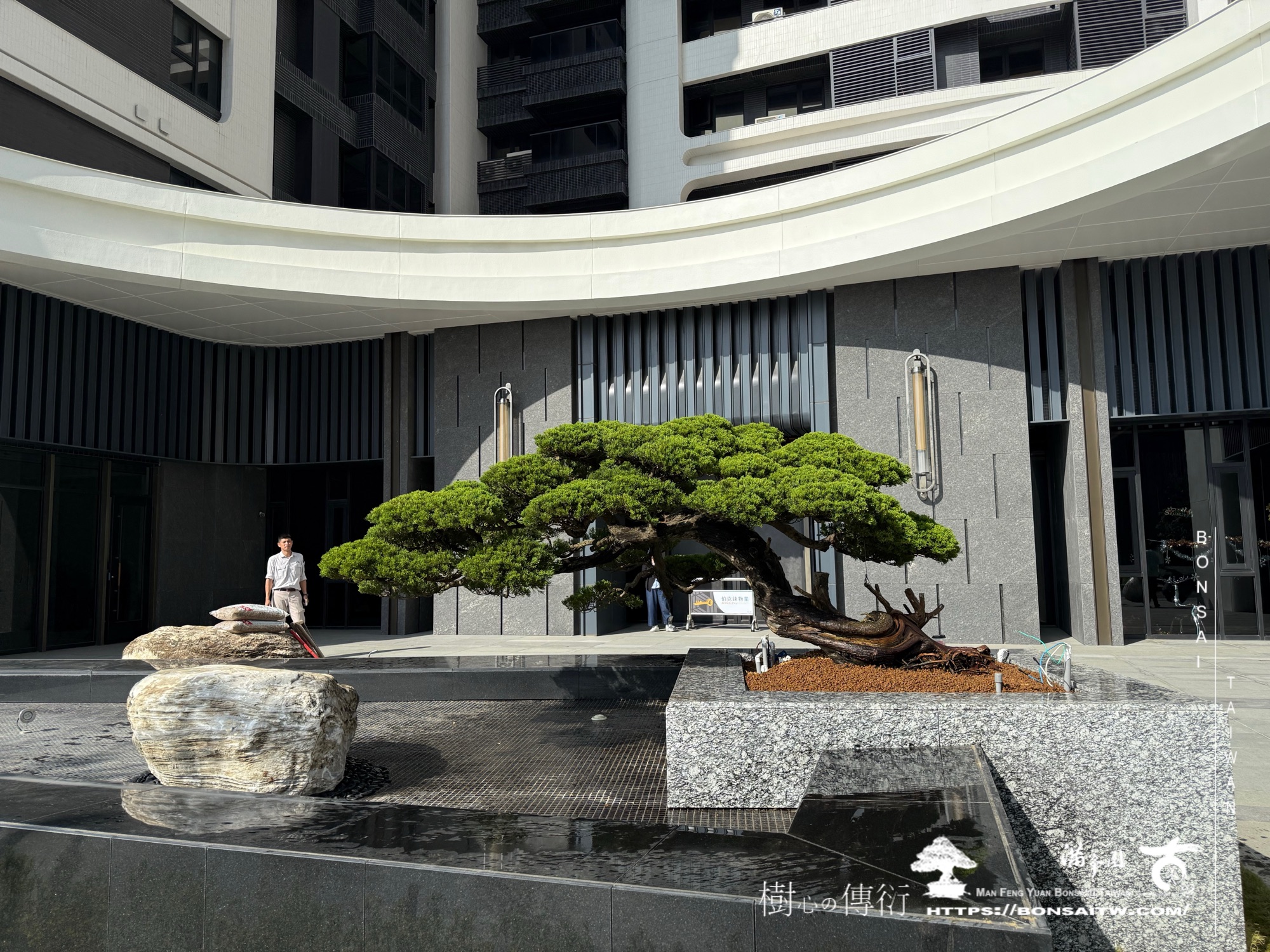 img 9365 1 [ 客戶服務]景觀施工-案1210 大型庭園樹專區(Garden Tree)