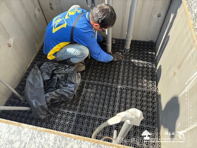 img 9368 1 [ 客戶服務]景觀施工-案1210 大型庭園樹專區(Garden Tree)