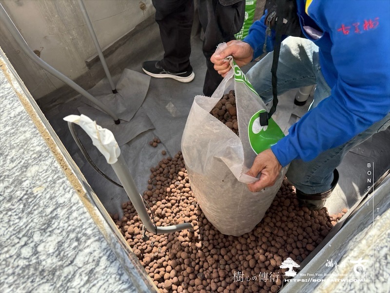 img 9369 1 [ 客戶服務]景觀施工-案1210 大型庭園樹專區(Garden Tree)