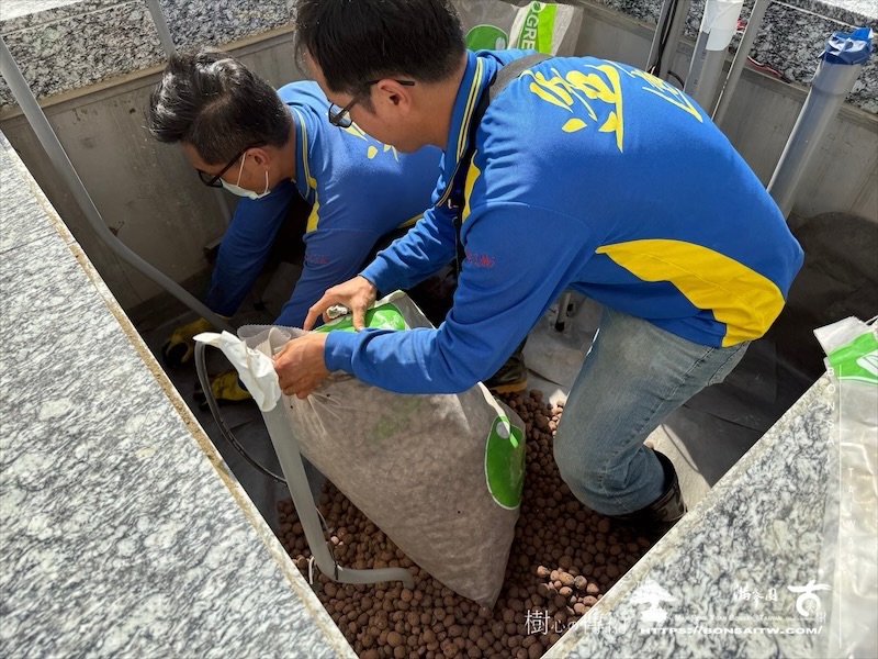 img 9370 1 [ 客戶服務]景觀施工-案1210 大型庭園樹專區(Garden Tree)