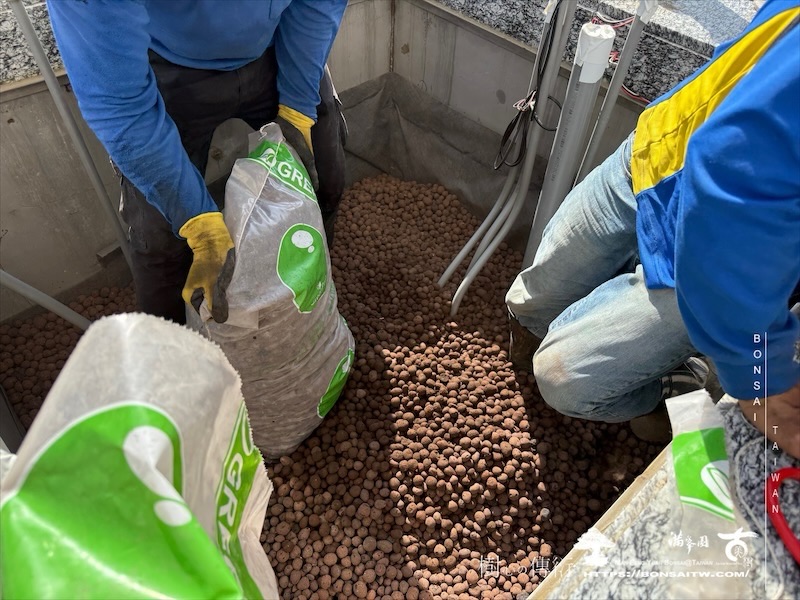 img 9371 1 [ 客戶服務]景觀施工-案1210 大型庭園樹專區(Garden Tree)