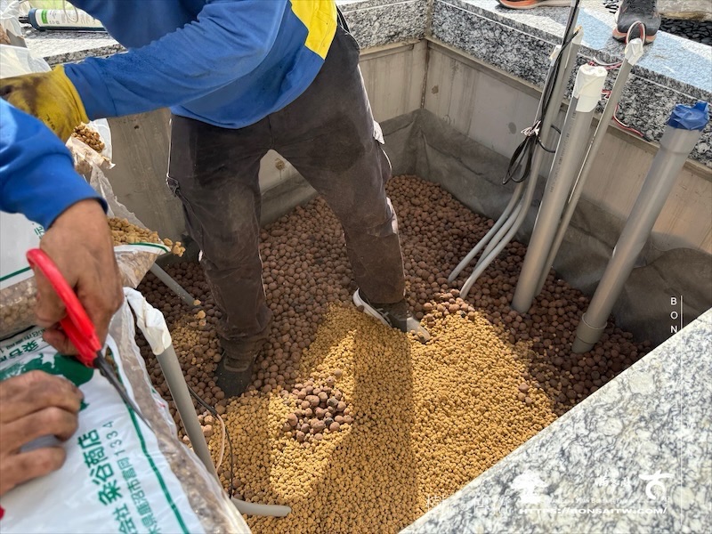 img 9372 1 [ 客戶服務]景觀施工-案1210 大型庭園樹專區(Garden Tree)