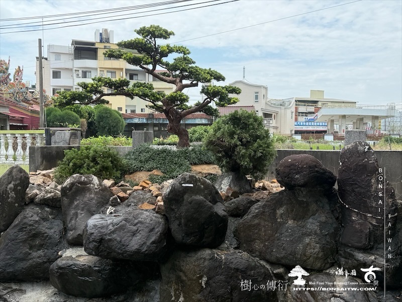 img 9930 1 [ 客戶服務]景觀施工-案0419 客戶案例