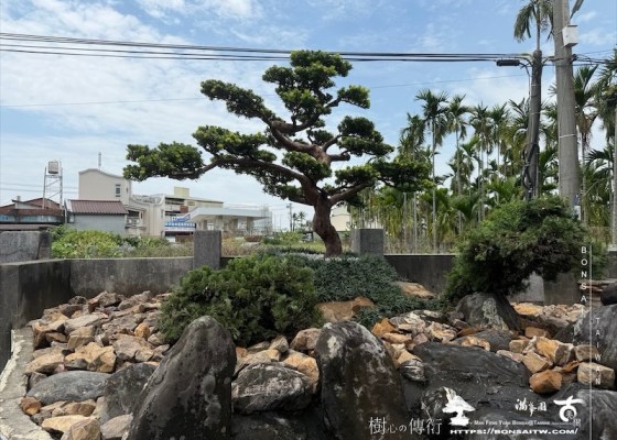 img 9931 2 1 [ 客戶服務]景觀施工-案0419 2025