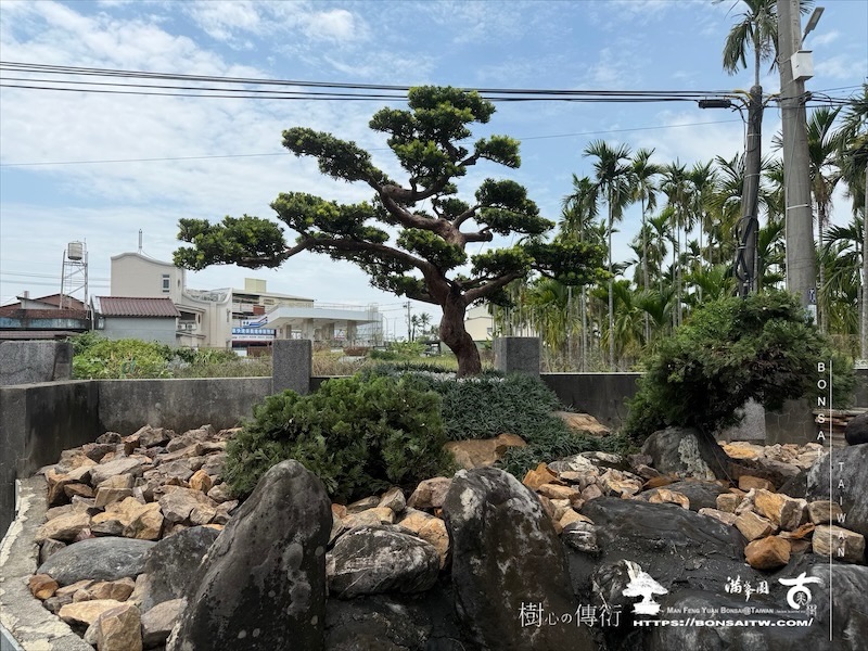 img 9931 2 1 [ 客戶服務]景觀施工-案0419 客戶案例