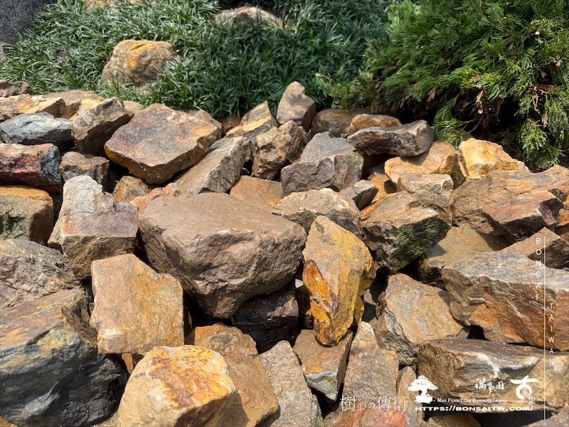 img 9933 1 [ 客戶服務]景觀施工-案0419 客戶案例