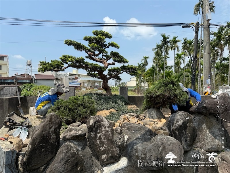 img 9939 1 [ 客戶服務]景觀施工-案0419 客戶案例