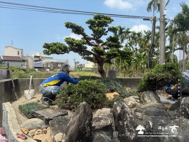 img 9940 1 [ 客戶服務]景觀施工-案0419 客戶案例