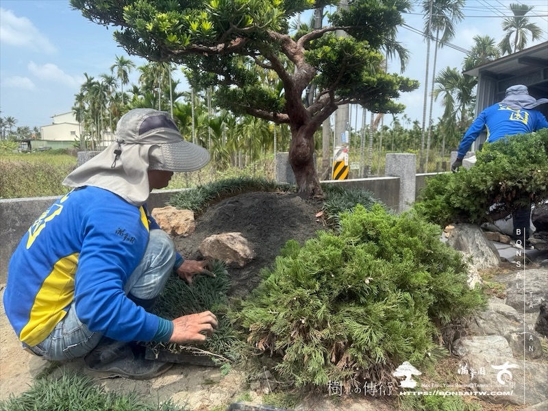 img 9943 1 [ 客戶服務]景觀施工-案0419 客戶案例