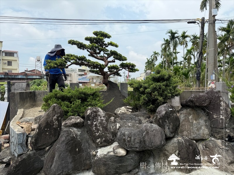 img 9944 1 [ 客戶服務]景觀施工-案0419 客戶案例