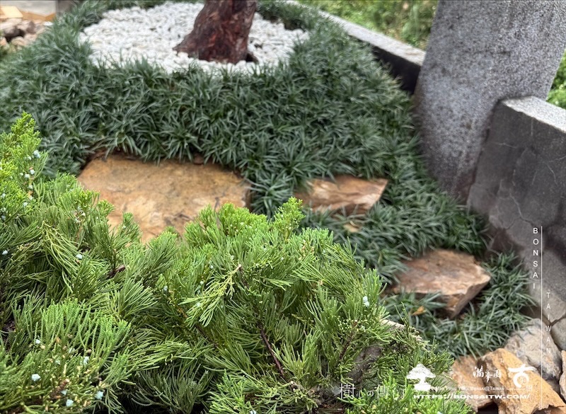 img 9949 1 [ 客戶服務]景觀施工-案0419 客戶案例