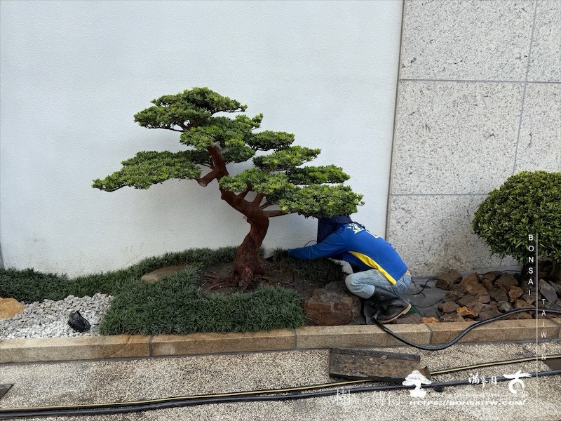 img 3129 1 [我們的作品]景觀規劃-案0506 客戶案例