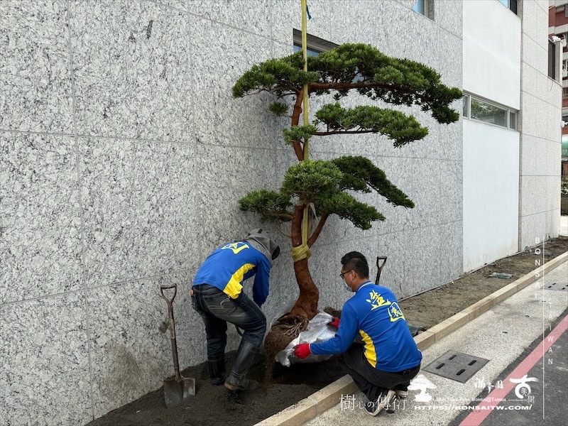 img 3178 1 [我們的作品]景觀規劃-案0506 客戶案例