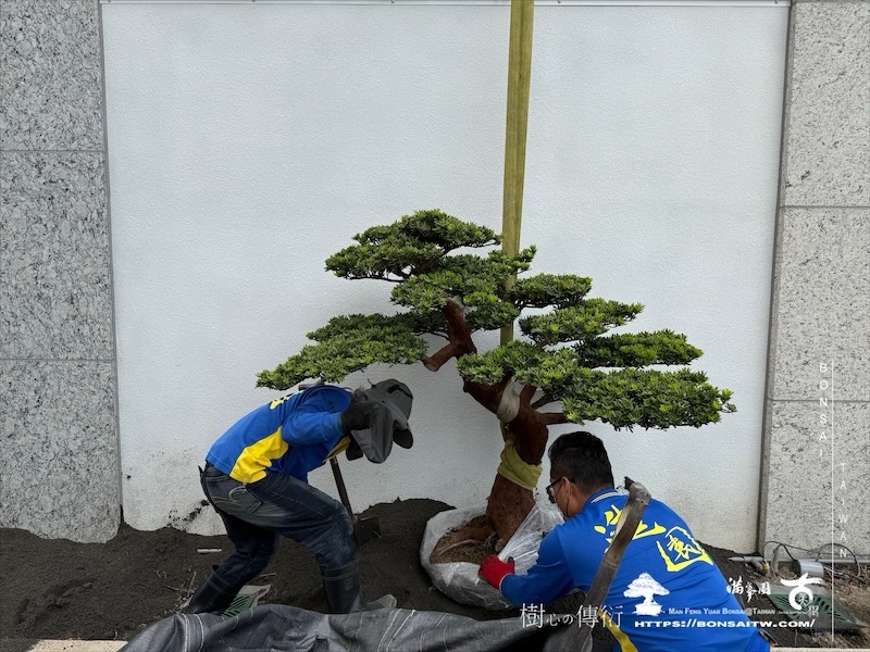 img 3182 1 [我們的作品]景觀規劃-案0506 客戶案例