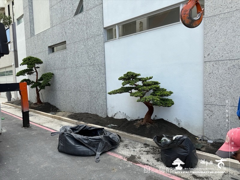 img 3183 1 [我們的作品]景觀規劃-案0506 客戶案例