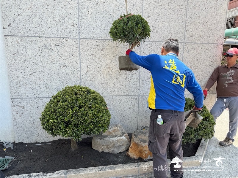 img 3185 1 [我們的作品]景觀規劃-案0506 客戶案例