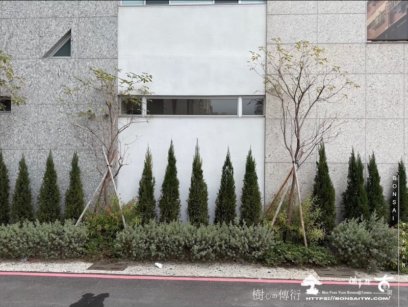 img 3282 2 1 [我們的作品]景觀規劃-案0506 客戶案例