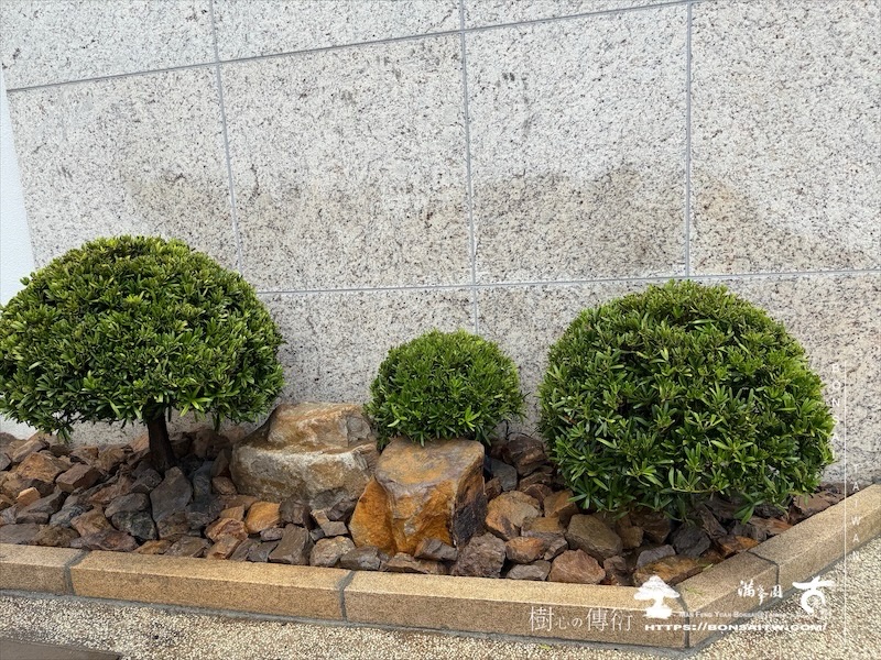 img 3330 1 [我們的作品]景觀規劃-案0506 客戶案例