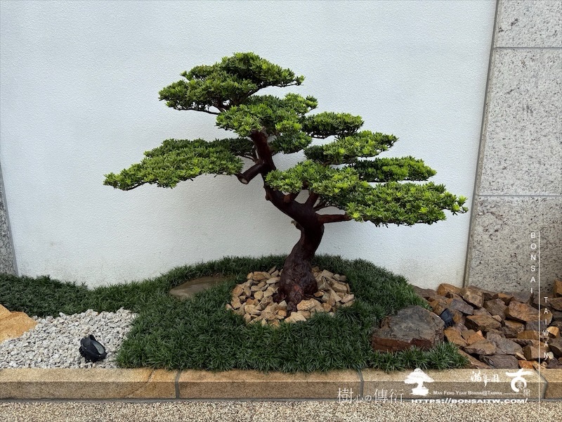 img 3331 1 [我們的作品]景觀規劃-案0506 客戶案例