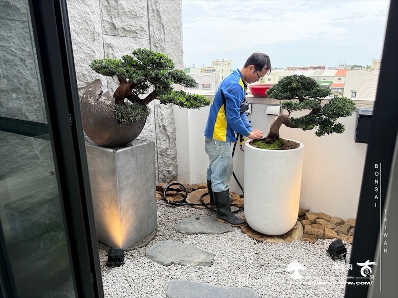 img 4156 1 [我們的作品]景觀規劃-案0509 露台造景