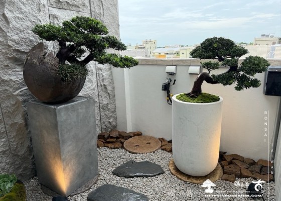 img 4163 1 [我們的作品]景觀規劃-案0509 盆栽(Bonsai)
