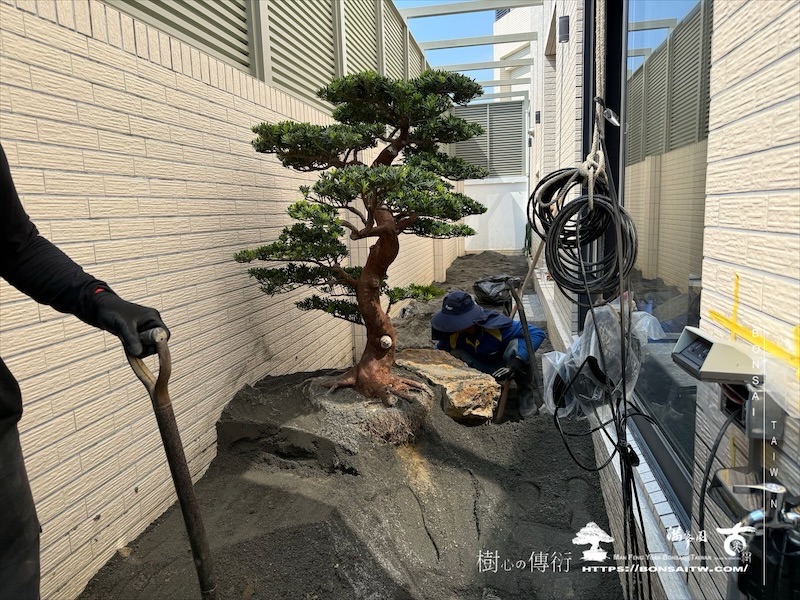 img 5370 1 [我們的作品]景觀規劃-案0515 客戶案例