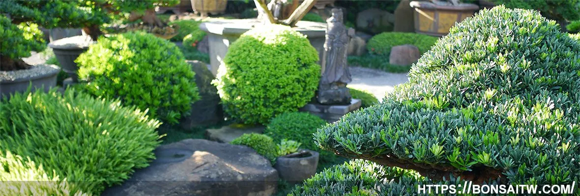 cropped bonsaitw 03 All 02 [景觀規劃]我們的景觀規劃施工流程 露台造景