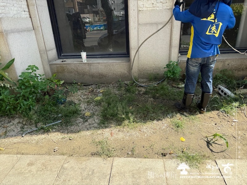 img 1107 1 [我們的作品]景觀規劃施工-案0624 客戶案例