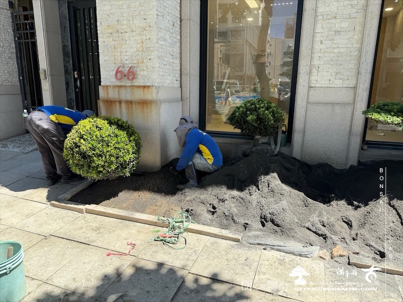 img 1119 1 [我們的作品]景觀規劃施工-案0624 客戶案例