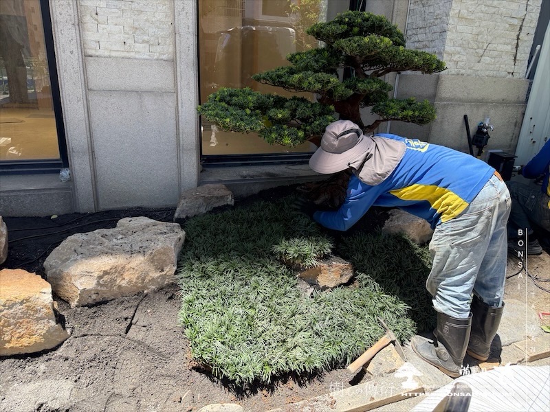 img 1122 1 [我們的作品]景觀規劃施工-案0624 客戶案例