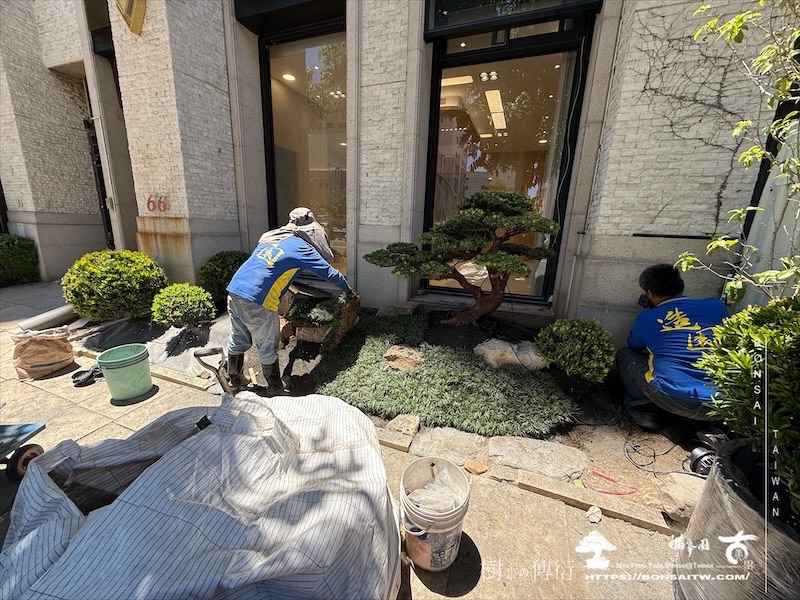 img 1137 1 [我們的作品]景觀規劃施工-案0624 客戶案例