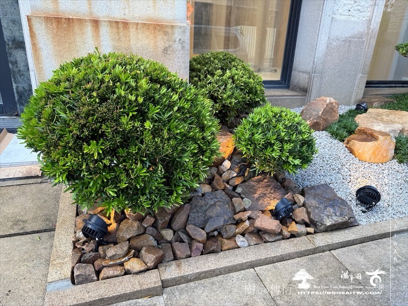 img 1142 1 [我們的作品]景觀規劃施工-案0624 客戶案例