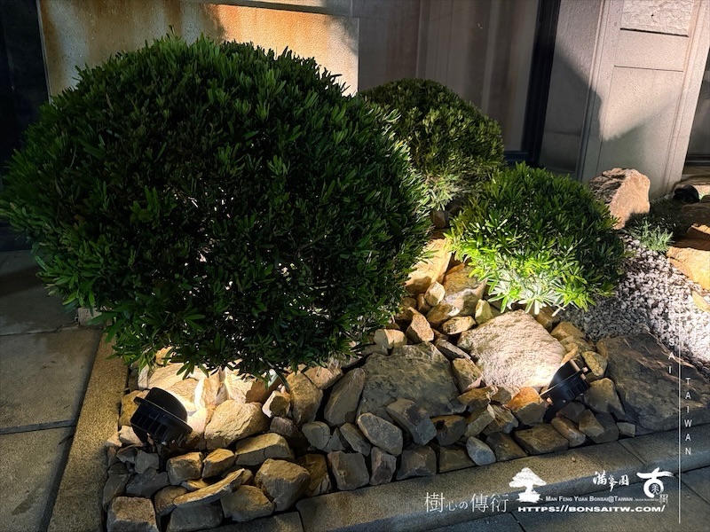 img 1149 1 [我們的作品]景觀規劃施工-案0624 客戶案例