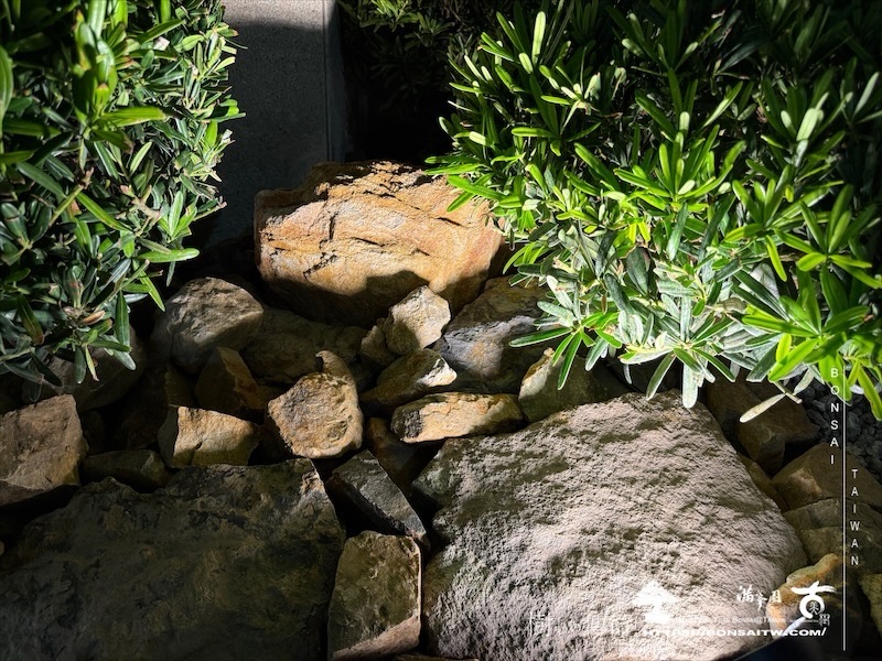 img 1152 1 [我們的作品]景觀規劃施工-案0624 客戶案例