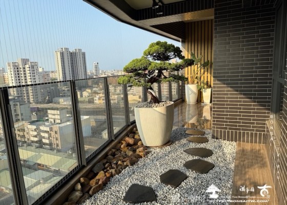 img 9360 1 [我們的作品]露台植栽-案0514 盆栽(Bonsai)